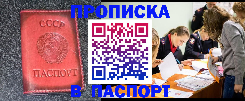прописка для школы в Егорьевске